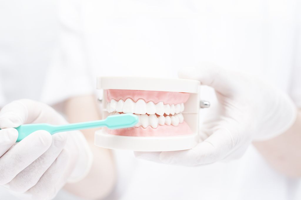 国立の歯医者、国立深澤歯科クリニックの予防歯科
